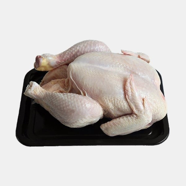 دجاج ذبح فرش